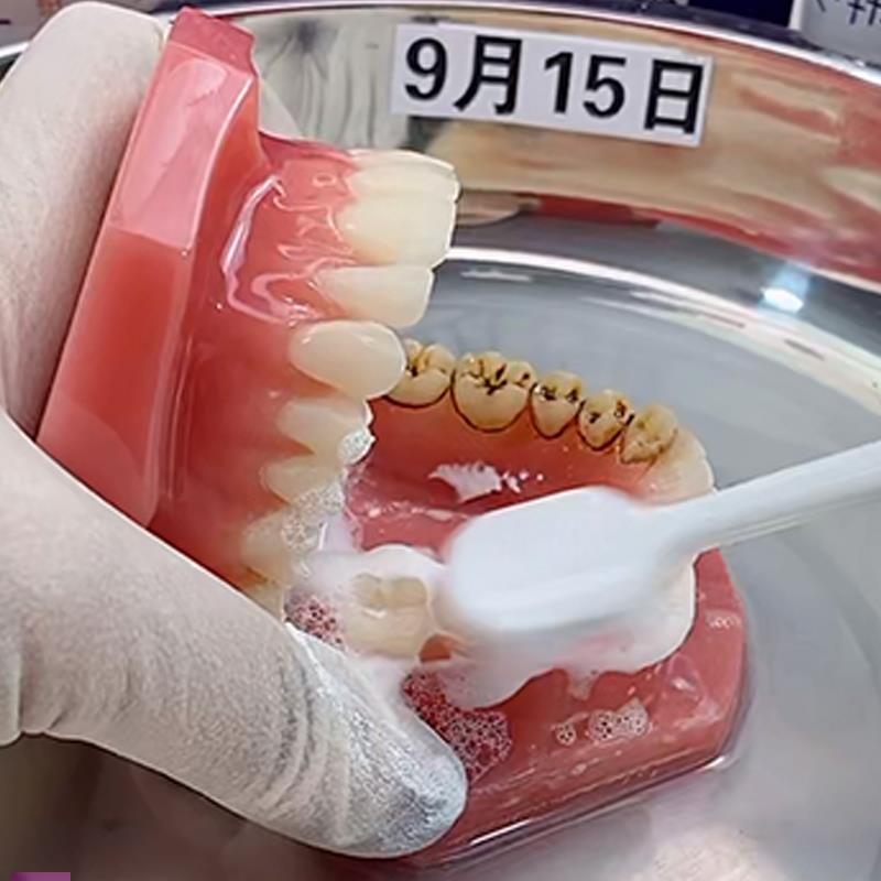 !牙齿模型直播道具牙线教学展示抖音小视频拍摄仿真假刷牙渍模