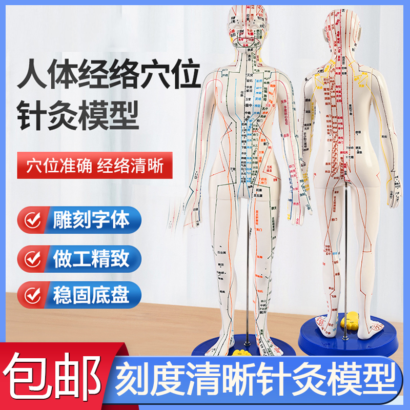 针灸人体模型可扎针中医按摩全身
