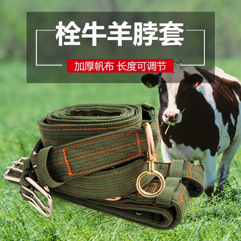 加厚拴牛专用的脖套项圈