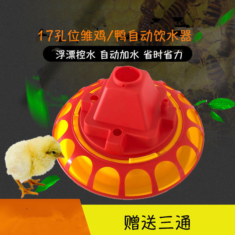小鸡自动饮水小鸡自动饮水