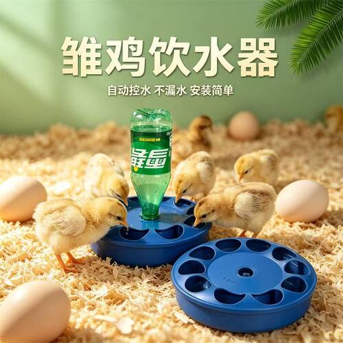 新款鸽子饮水器11孔信鸽用具鸽具饮水器鸽子水槽自动喂水器