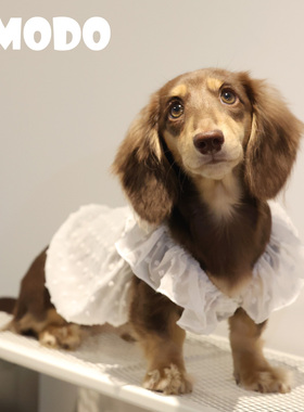 LMODO宠物衣服点点薄纱款小飞袖吊带裙宠物裙子狗狗衣服猫猫服饰