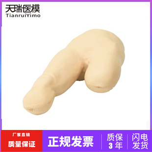 高级低位包扎模型 下肢断肢截肢包扎训练模型 医学教学用模型