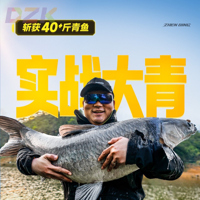汉鼎真鼎大物版鱼竿28调超轻超硬钓鱼竿台钓竿大物杆手竿青鱼鲟b9