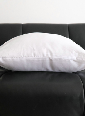 磨毛抱枕芯靠枕芯家用酒店民宿沙发枕芯pp棉腰枕芯坐垫芯内芯