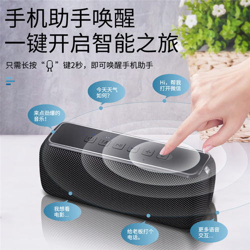 赛柏瑞斯60W 大功率蓝牙5 0重低音炮户外防水便携高音质插卡TWS音