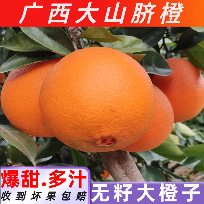 正宗桂林脐橙新鲜现摘现发当季无籽广西水果整箱10斤大果橙子孕妇,水产肉类/新鲜蔬果/熟食,橙,淘宝优惠券,粉丝福利购,淘宝优惠卷