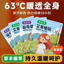 暖宝宝贴背部暖贴自发热宫寒女保暖防寒贴身调理宫暖宝腰腹部热帖