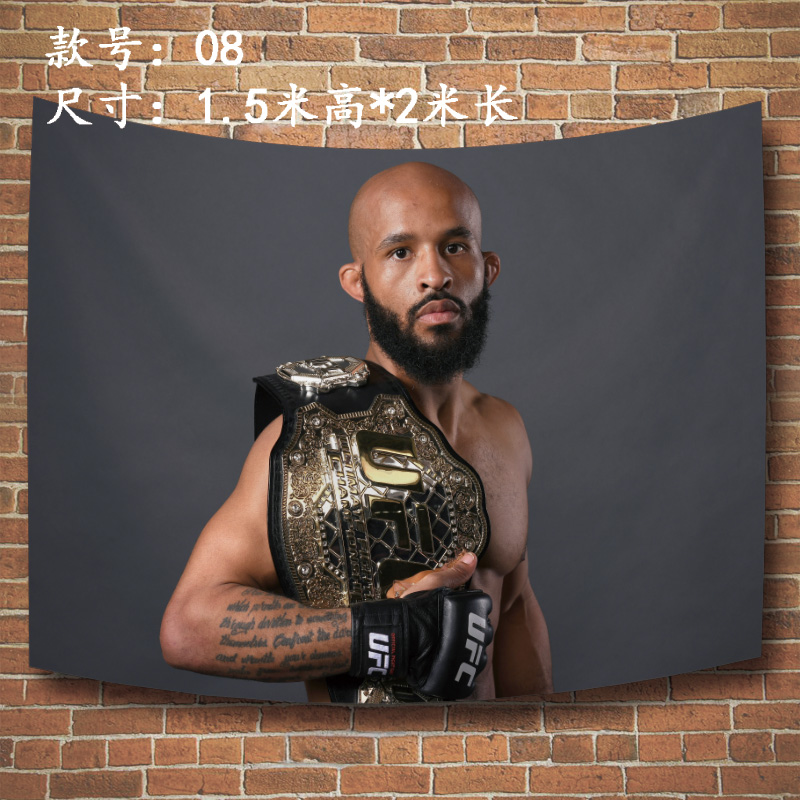 大力鼠海报挂布mma狄米崔斯约翰逊ufc蝇量冠级军demetrious背景布