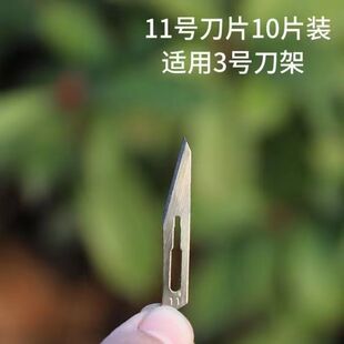 多肉植物砍头刀专用工具嫁接刀钢刀加厚芽接神器蟹爪兰月季果树苗