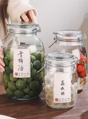 青梅泡酒瓶密封罐家用套装