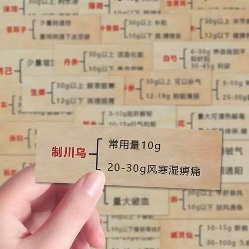 中医药贴纸学习考研笔记学生文字