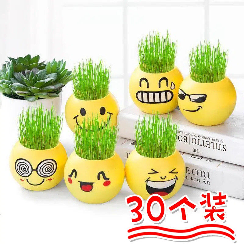 头顶长草盆栽儿童开学礼物小学生幼儿园奖品实用儿童观察小礼品,鲜花速递/花卉仿真/绿植园艺,绿植,淘宝优惠券,粉丝福利购,淘宝优惠卷