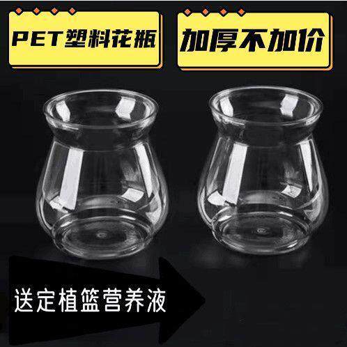 高颜值简约花盆水培器皿水培蔬菜牛油果吊兰龙蛋空瓶盆栽植物室内