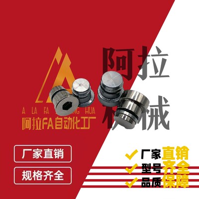 直线导轨定位销 偏心销 LLT3.5 LLT5 LLTS5 ICE11-T5不锈钢LLTA5