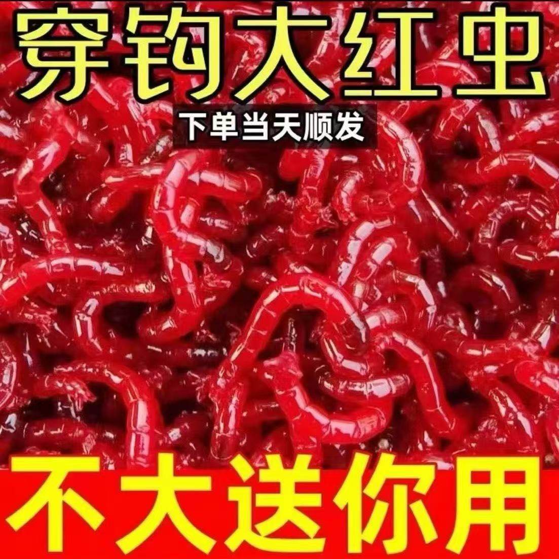 【大降价】钓鱼鲜活红虫特大号挂钩红虫活饵活体喂鱼红虫鲫鱼饵料,户外/登山/野营/旅行用品,活饵/谷麦饵等饵料,淘宝优惠券,粉丝福利购,淘宝优惠卷