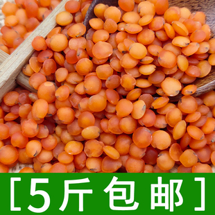 红小扁豆500克马粟豆红莲奴豆五谷杂粮煮食