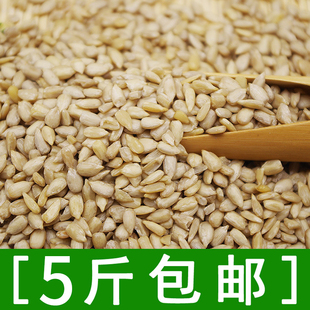 生瓜子仁葵花籽仁葵花子仁500g小粒油葵出油率高 5斤包邮