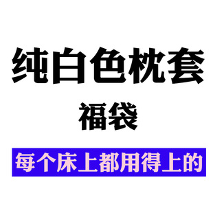纯白色枕套2way等身抱枕套福袋半身睡遮挡套双人50 160cm长条隐藏