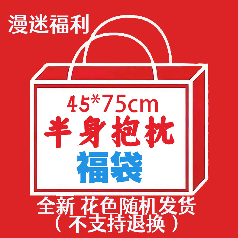 半身枕套福袋 二次元枕套 睡觉用的枕套尺寸45*75 48*74 含枕芯