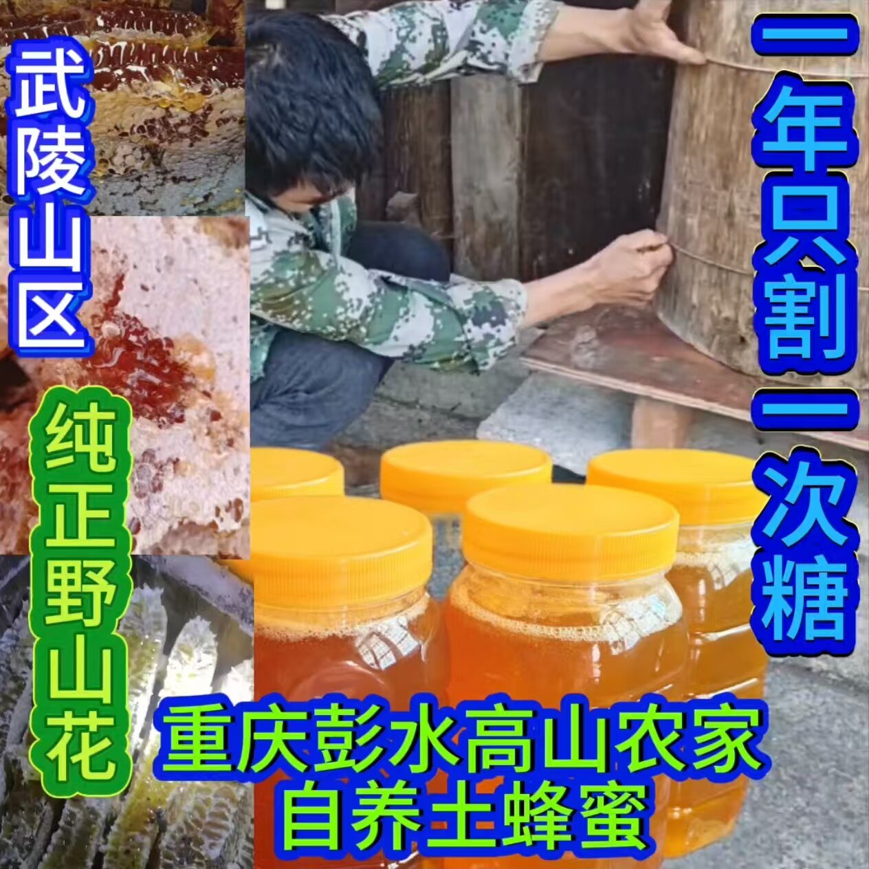 彭水武陵区土蜂蜜正品天然正宗蜂巢蜜农家自产纯正原味野山花蜂蜜