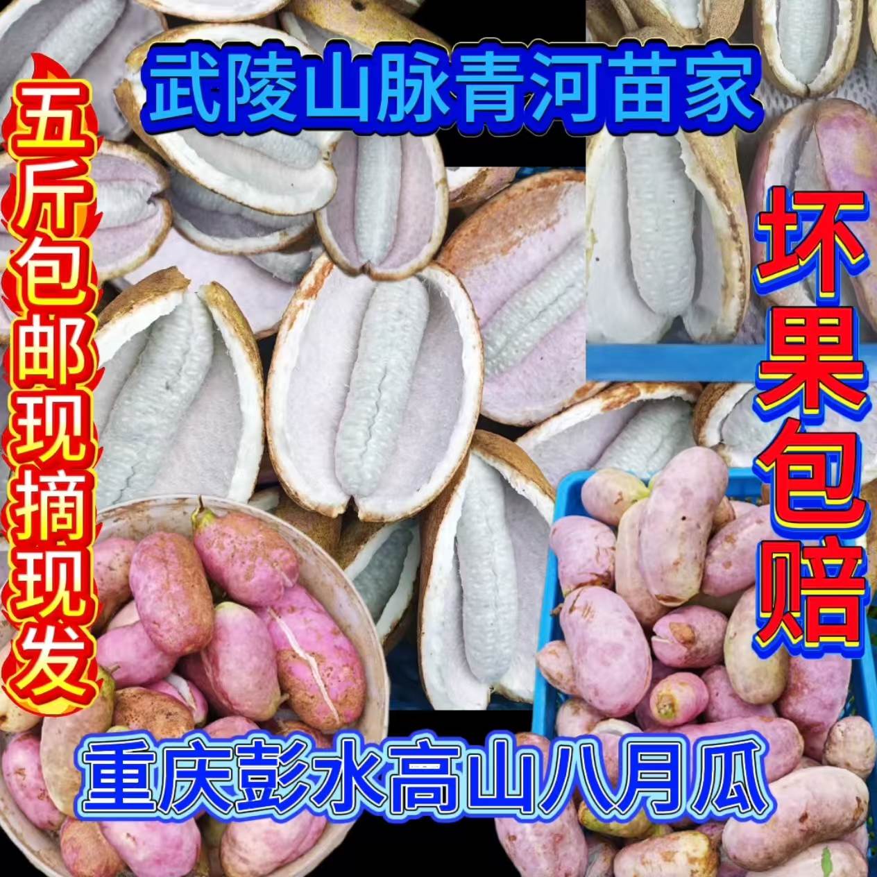 新鲜5斤现摘八月瓜当季水果八月炸野香蕉孕牛卵坨包邮