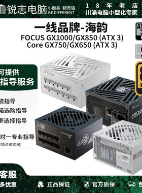 海韵GX1000/850/650全模组电源