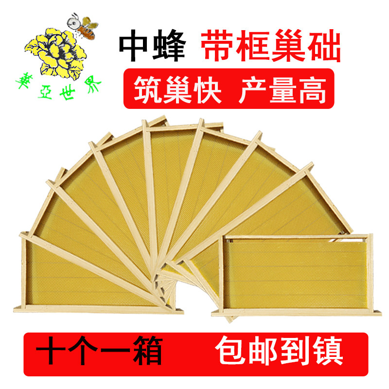 全杉木半成品巢框铜眼四眼中蜂意蜂八千巢框标准巢础框蜜蜂巢框