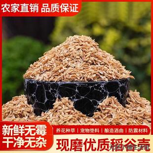 新鲜稻谷壳粗糠壳谷子壳稻糠壳动物宠物垫料保健枕头防震填充酿酒