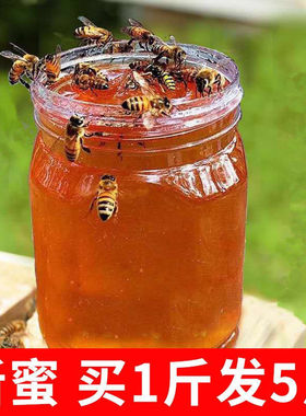 纯正天然蜂蜜农家自产百花蜜结晶土蜂蜜枣花蜜原始老山洋槐蜂蜜。