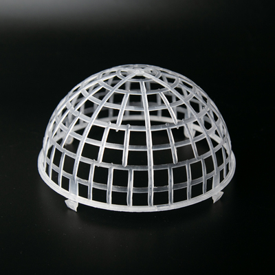 鹿角蕨种植罩蝴蝶兰固定罩挂板二岐蕨卷卷银鹿鹿角蕨壁挂蕨类浮球