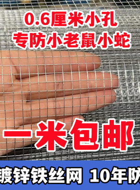 热镀锌铁丝网电焊网小孔防鼠防蛇防锈网阳台窗户护栏网养殖鸡鸭兔