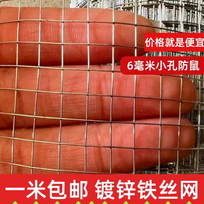 镀锌铁丝网养殖防鼠网抹墙网