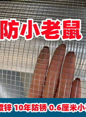 热镀锌铁丝网电焊网窗户防盗网防鼠网建筑网钢丝网片养殖围护栏网