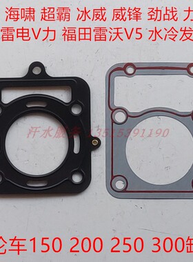 隆鑫雷电V力雷沃V5宗申捍威威锋200ZH300水冷发动机缸体垫子