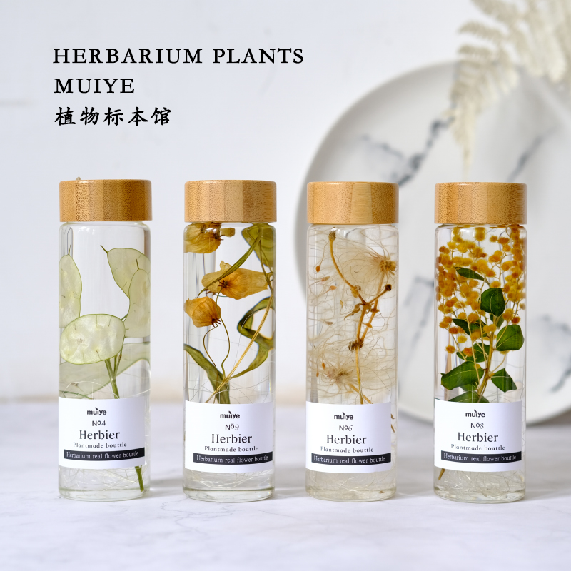 植物标本花卉浮游花 儿童科普干花永生花 家居样板间书架展示摆件