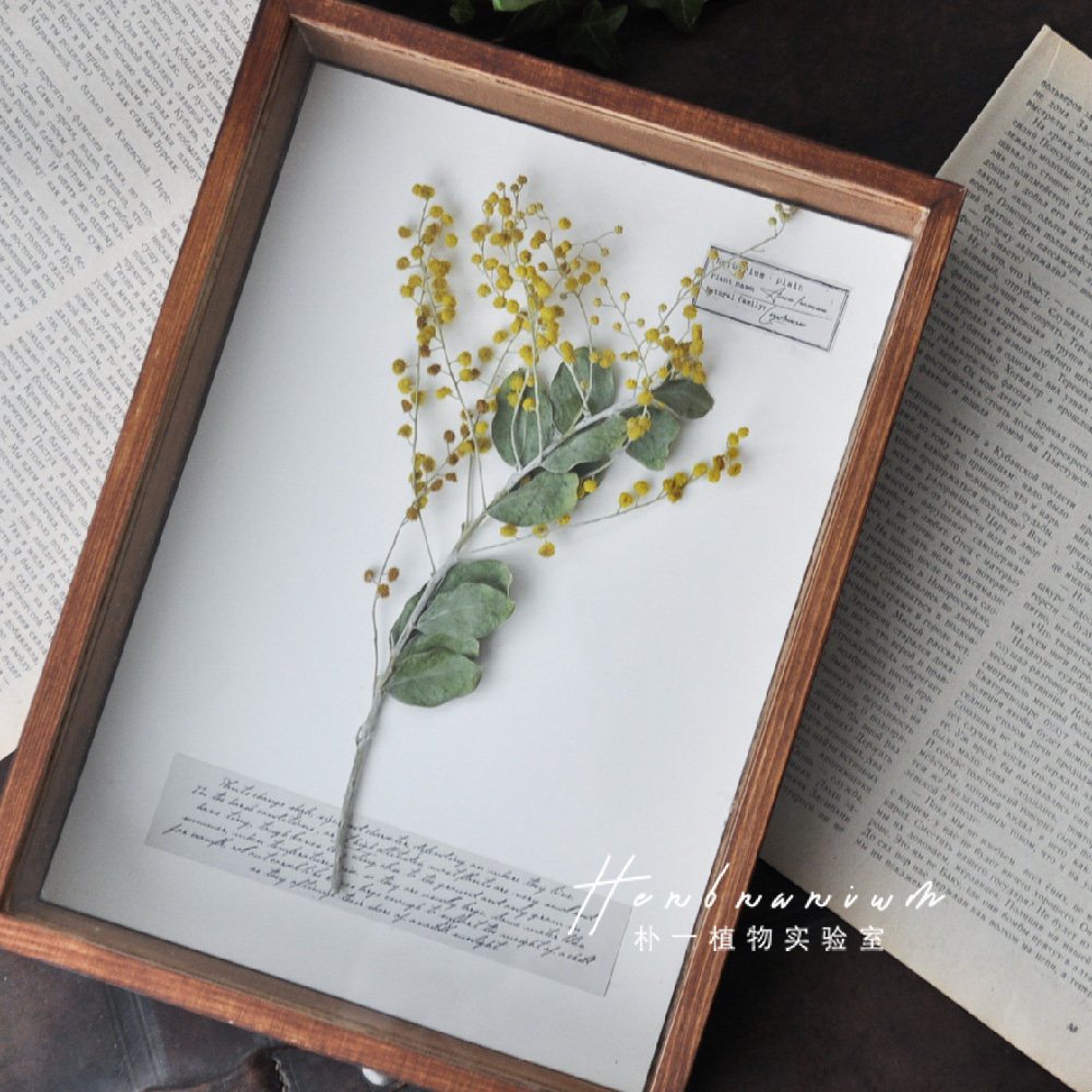 植物标本盒干花永生花森系 复古文艺家居创意摆件礼品日式 装饰画