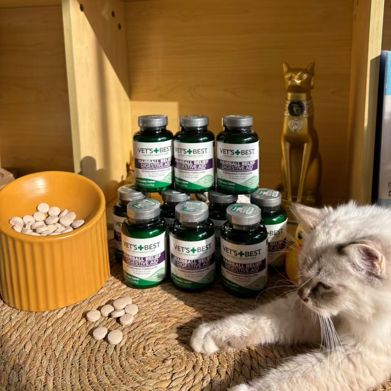 猫草片绿十字排毛球猫化毛片图片