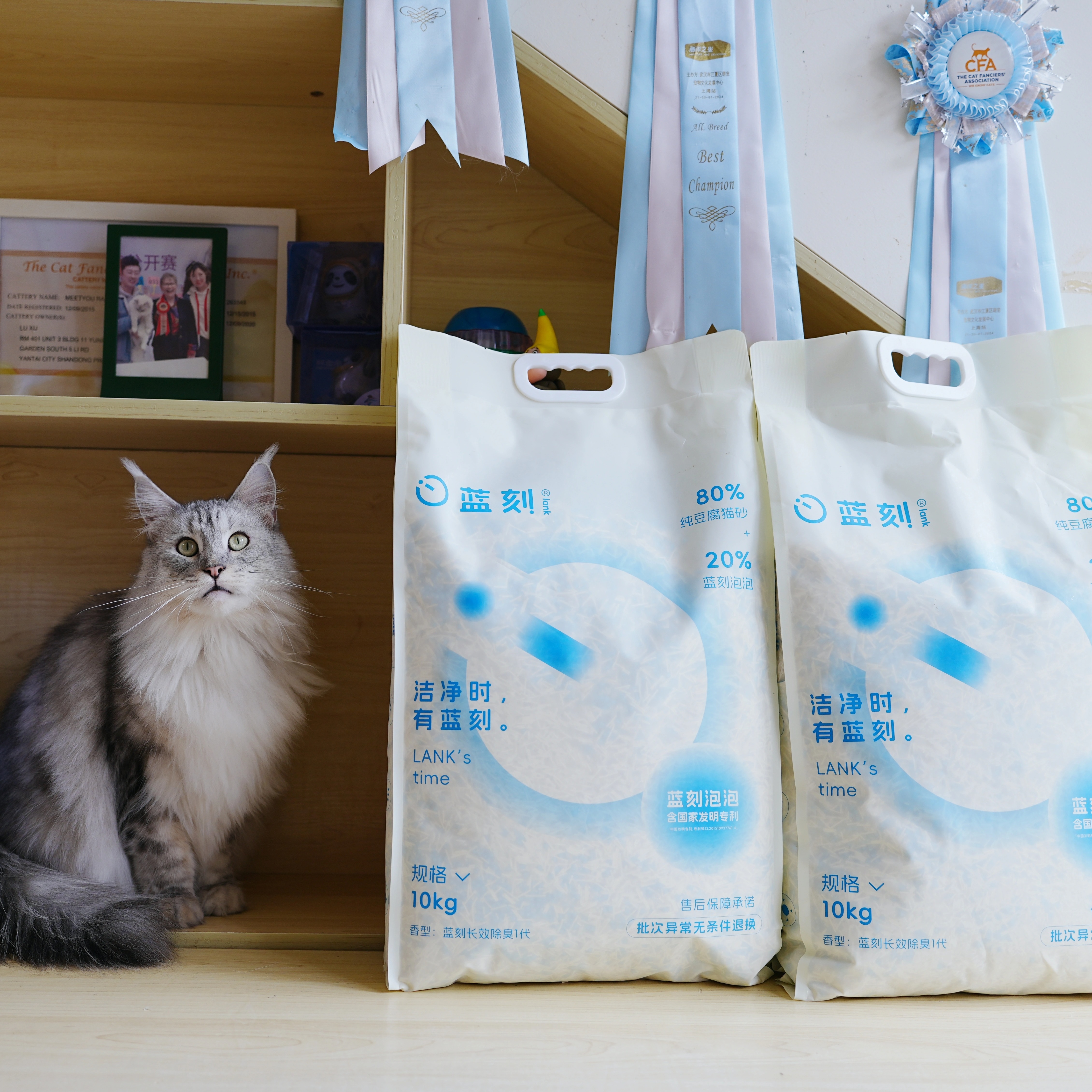 蓝刻纯豆腐猫砂10kg品质一流
