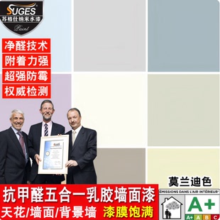 苏格仕五合一彩色墙面漆内墙漆新居装修老房翻新用乳胶漆自刷油漆
