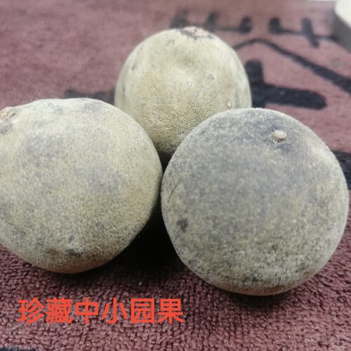 正宗化橘红化州橘红中小果整个果28年陈果久咳干咳特惠买6赠1包邮