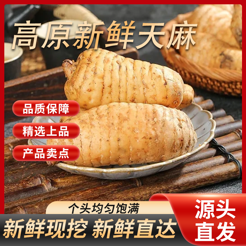 新鲜天麻现挖昭通小草坝正宗乌天麻云南正品煲汤仿野生种植包邮