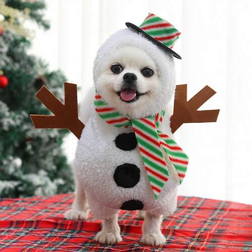 Autumn and winter funny dogs, pets, Christmas cat costumes,