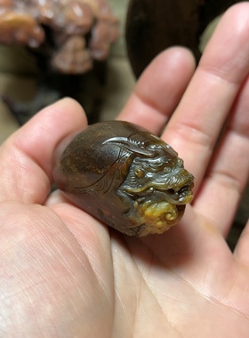 来料加工新疆独籽龙龟手把件挂件  可售 粉丝寄售