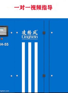 凌格风螺杆空压机配件大全 LSH22 LS3755维保耗材油过滤器油分芯