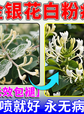金银花白粉病专用药杀菌剂一滴净褐斑锈病炭疽根腐病免稀释叶面肥