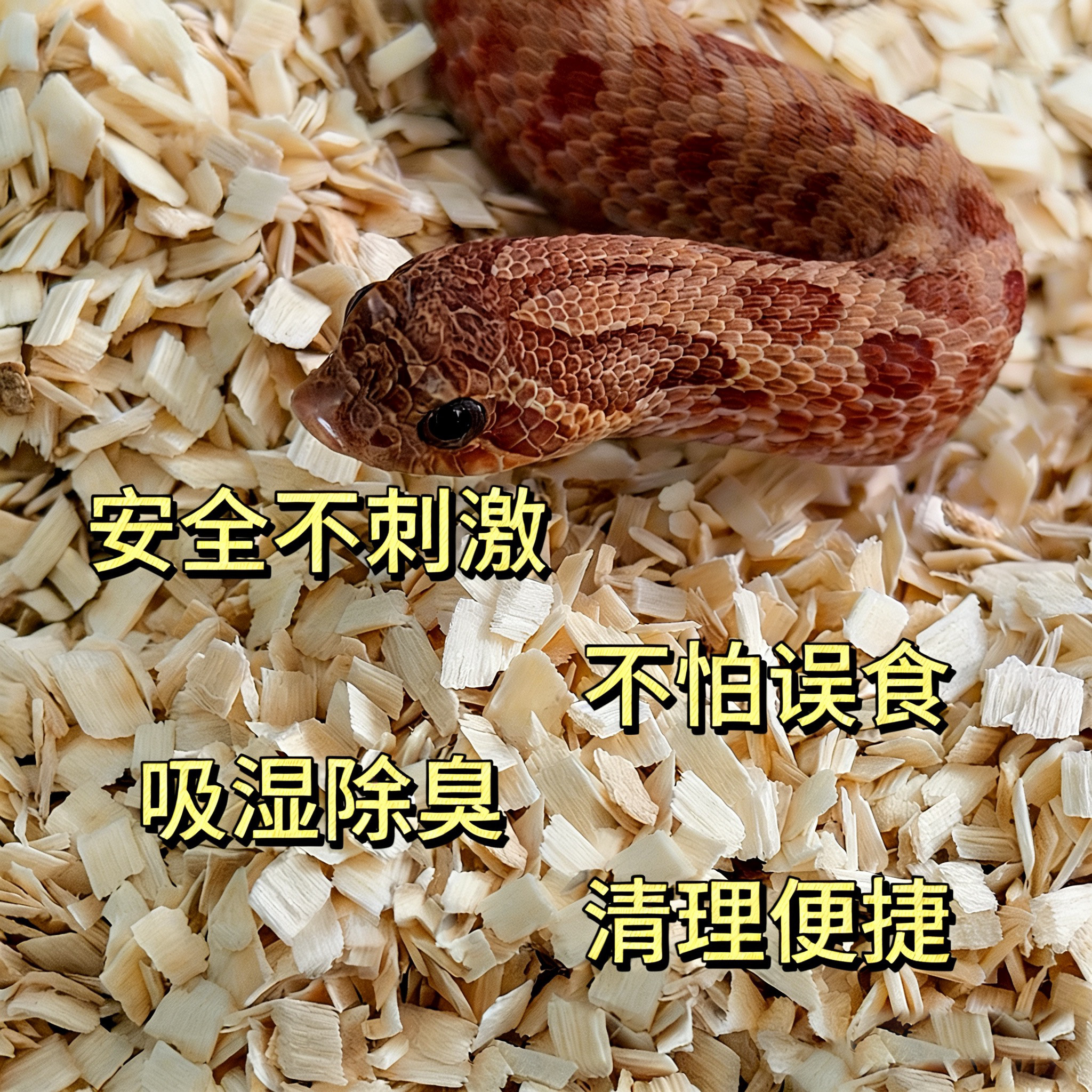 宠物蛇爬宠玉米蛇仓鼠金丝熊专用吸湿除臭无尘白杨木屑小方片垫材