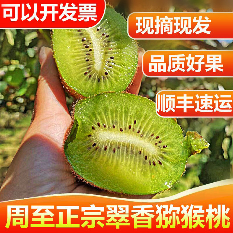 陕西周至翠香猕猴桃产地直发