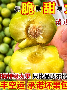 巫山脆李特大果青脆李新鲜现货