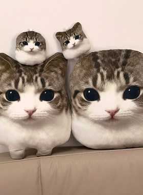 一只被生活磨平棱角猫咪公仔